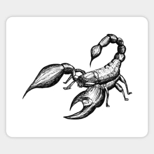 Hand drawn Scorpio - Pen & ink Sticker